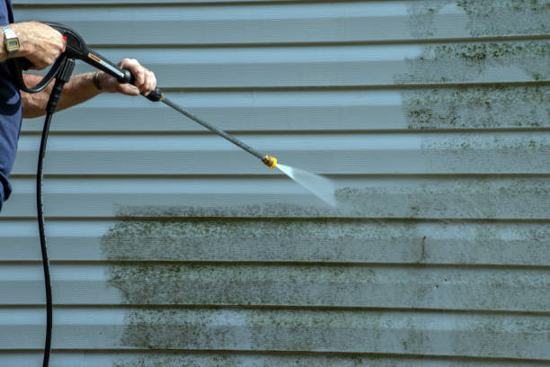 Best Deck Pressure Washing  in Ripley, OH