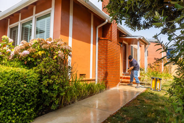 Best Best Pressure Washing Companies  in Ripley, OH