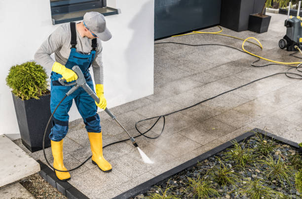 Best Affordable Pressure Washing  in Ripley, OH