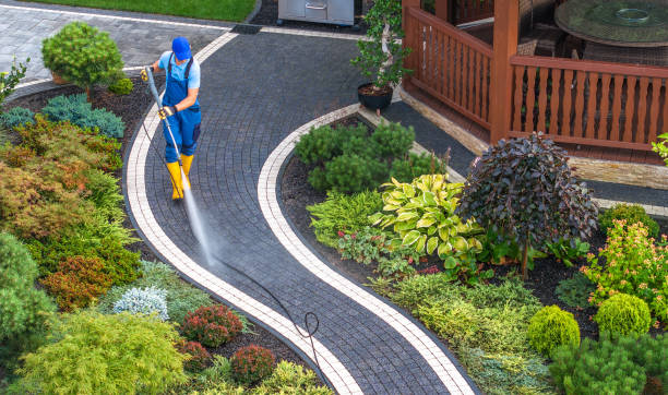 Best Pressure Washing Near Me  in Ripley, OH